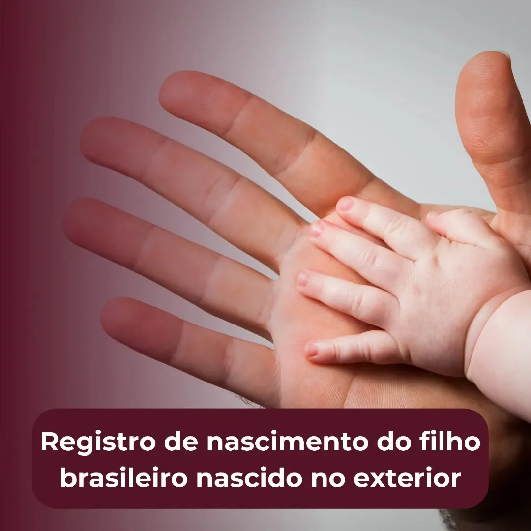 When That Traveler From A Cold Country Comes To Brazil And Feels Amazed With The…