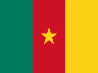 Flag of Cameroon for Brazil immigration guide