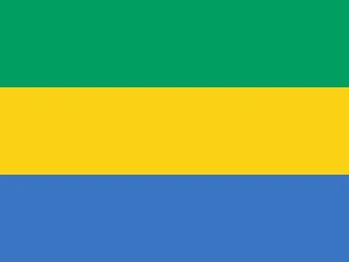 Flag of Gabon for Brazil immigration guide