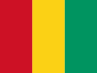 Flag of Guinea for Brazil immigration guide