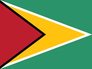 Flag of Guyana for Brazil immigration guide