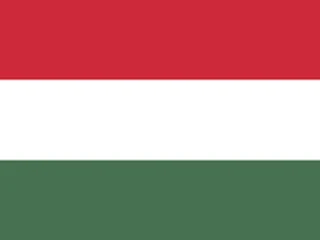 Flag of Hungary for Brazil immigration guide