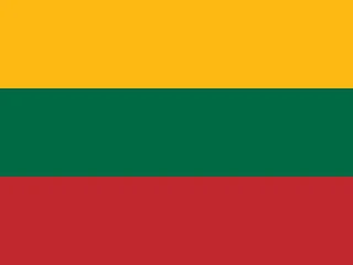 Flag of Lithuania for Brazil immigration guide