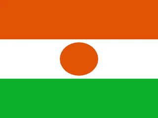 Flag of Niger for Brazil immigration guide