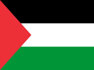 Flag of Palestine for Brazil immigration guide