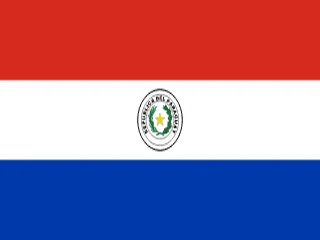 Flag of Paraguay for Brazil immigration guide