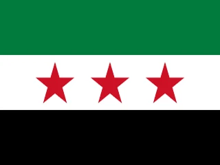 Flag of Syria for Brazil immigration guide