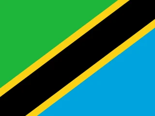 Flag of Tanzania for Brazil immigration guide