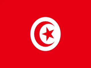 Flag of Tunisia for Brazil immigration guide