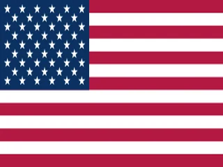 Flag of United States for Brazil immigration guide