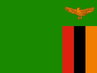 Flag of Zambia for Brazil immigration guide