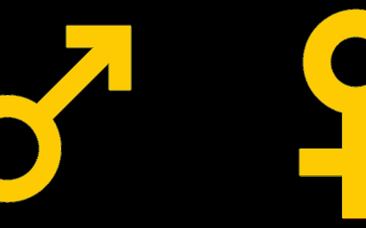 Illustration for Gender human rights legal service in Brazil