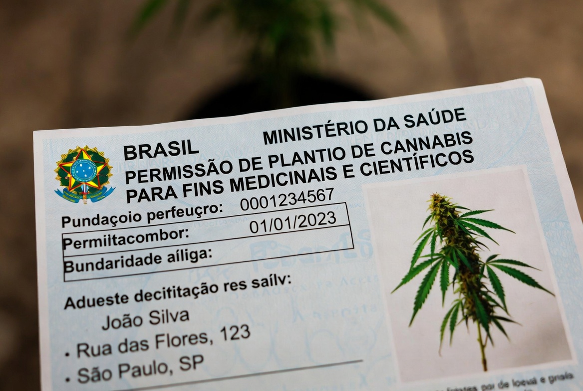 Vivid representation of obtaining business licenses through Brazilian legal processes